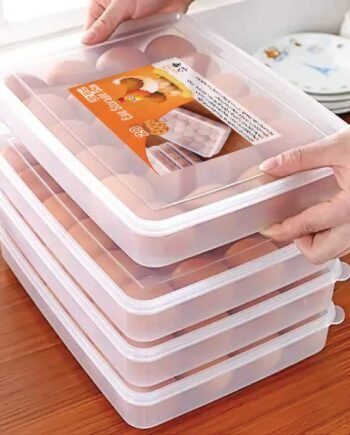 20 grid egg storage box